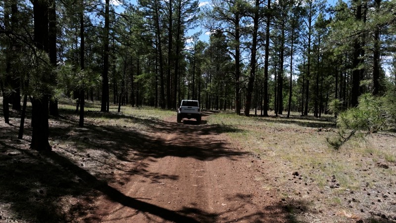 FR 116A Trail Review Photo