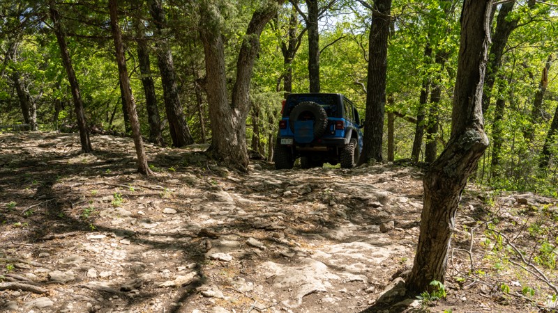 Bent Tree - Kansas Rocks Recreation Park Trail Review Photo