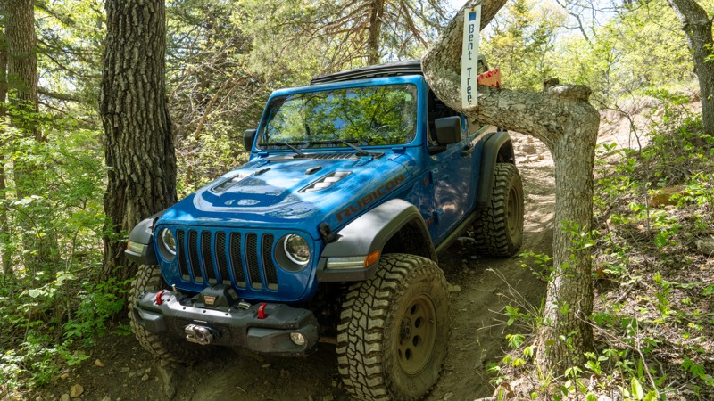 Bent Tree - Kansas Rocks Recreation Park Trail Review Photo