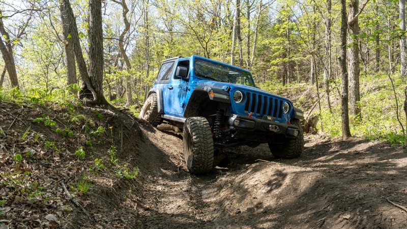 Bear Tracks - Kansas Rocks Recreation Park Trail Review Photo