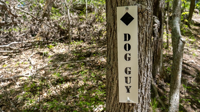 Kansas: Dog Guy - Kansas Rocks Recreation Park Hero Photo