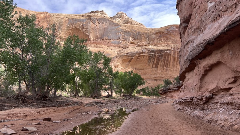 Utah: Horseshoe Canyon Access Road Hero Photo