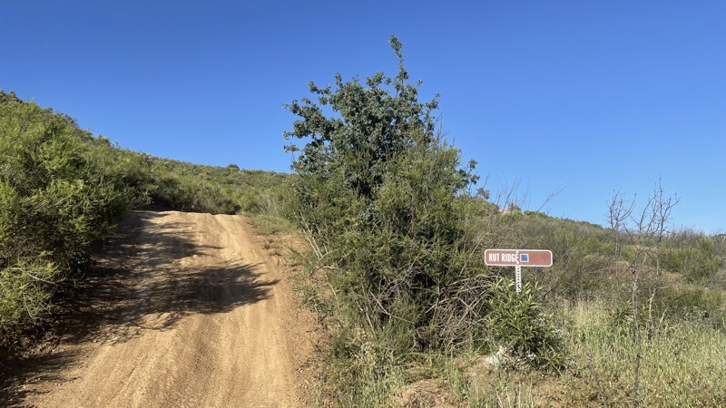 California: Frank Raines OHV: Rut Ridge Hero Photo