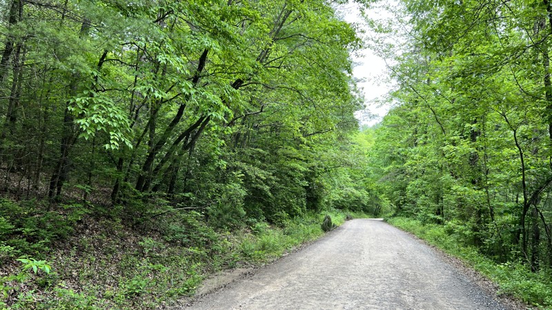 Bent Creek Trail Review Photo