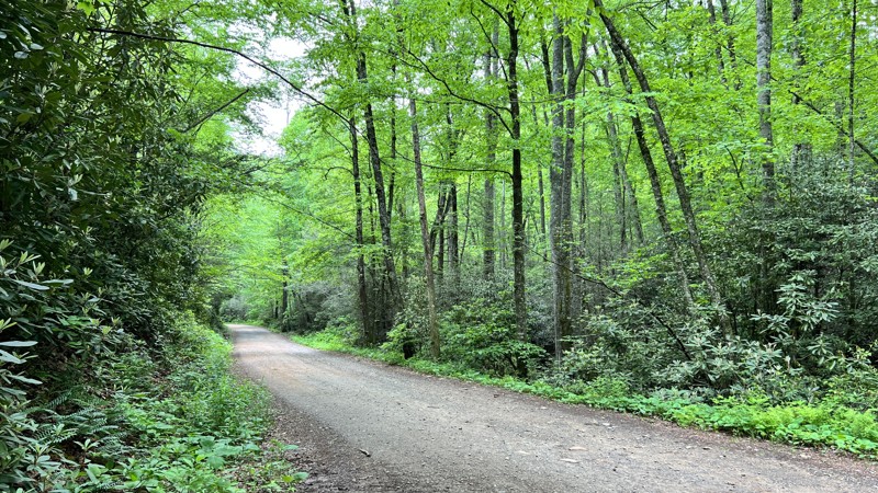 Wash Creek Trail Review Photo