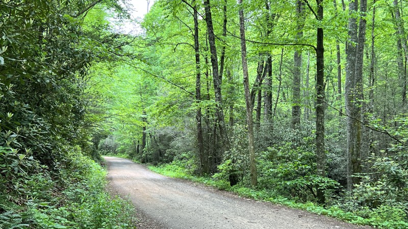 Wash Creek Trail Review Photo