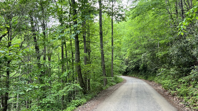 Headwater Trail Review Photo