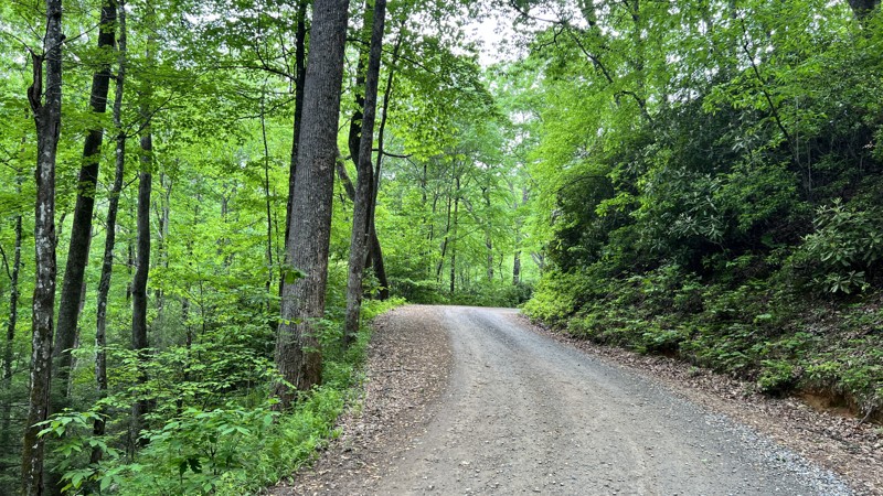 Headwater Trail Review Photo