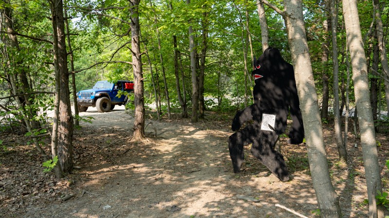 Pennsylvania: East Anthracite Road - Anthracite Outdoor Adventure Area Hero Photo