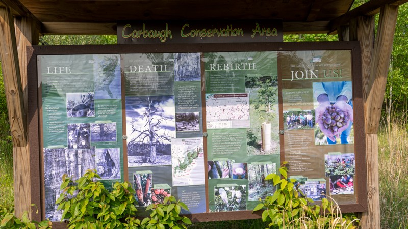 East Anthracite Road - Anthracite Outdoor Adventure Area Trail Review Photo