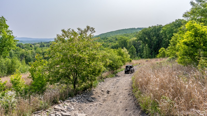 41 - Anthracite Outdoor Adventure Area Trail Review Photo