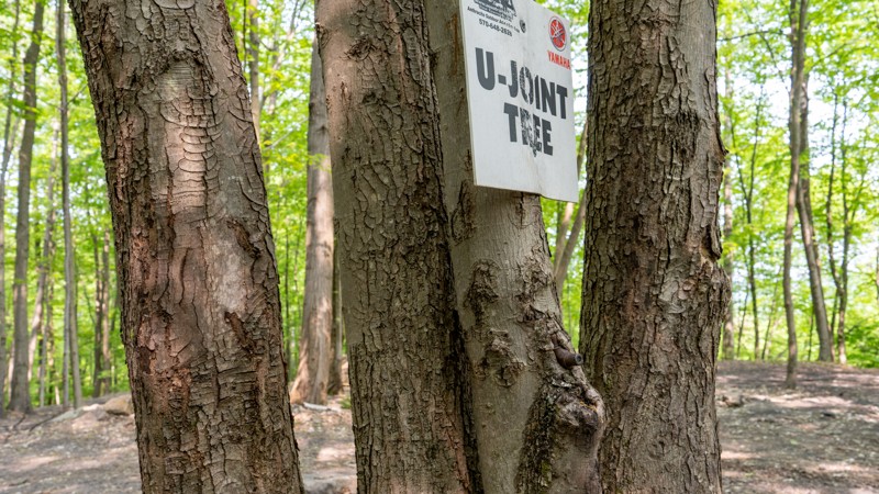 17 - Anthracite Outdoor Adventure Area Trail Review Photo