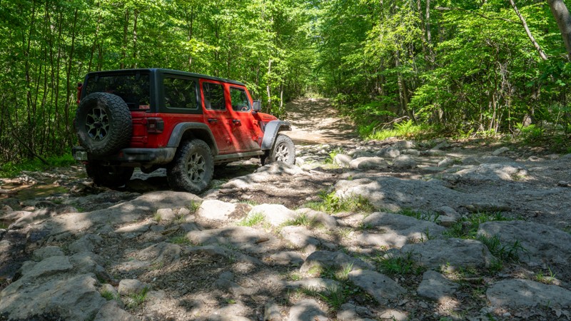10 - Anthracite Outdoor Adventure Area Trail Review Photo