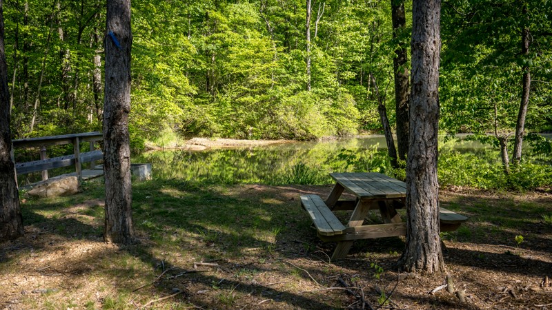 Lake Barry - Anthracite Outdoor Adventure Area Trail Review Photo