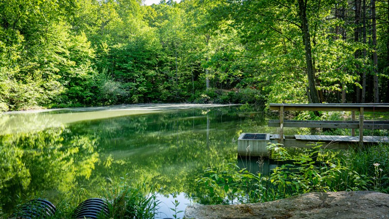 Lake Barry - Anthracite Outdoor Adventure Area Trail Review Photo