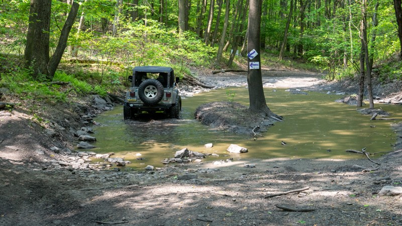 Puddle Road - Anthracite Outdoor Adventure Area Trail Review Photo
