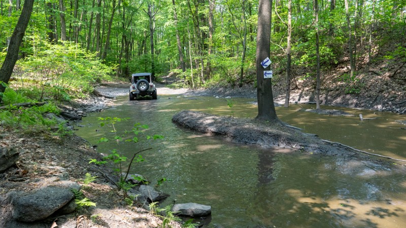 Puddle Road - Anthracite Outdoor Adventure Area Trail Review Photo