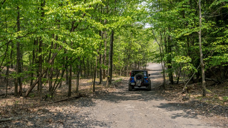 100 - Anthracite Outdoor Adventure Area Trail Review Photo