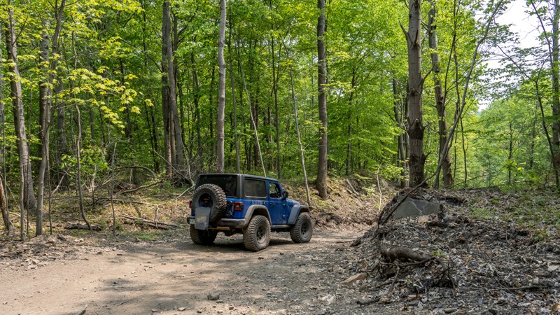 100 - Anthracite Outdoor Adventure Area Trail Review Photo