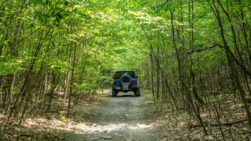 104 - Anthracite Outdoor Adventure Area Trail Review Photo