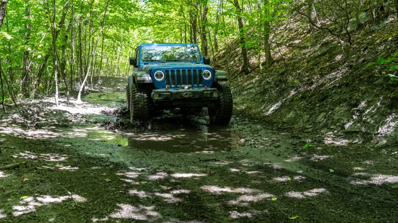 110 - Anthracite Outdoor Adventure Area Trail Review Photo
