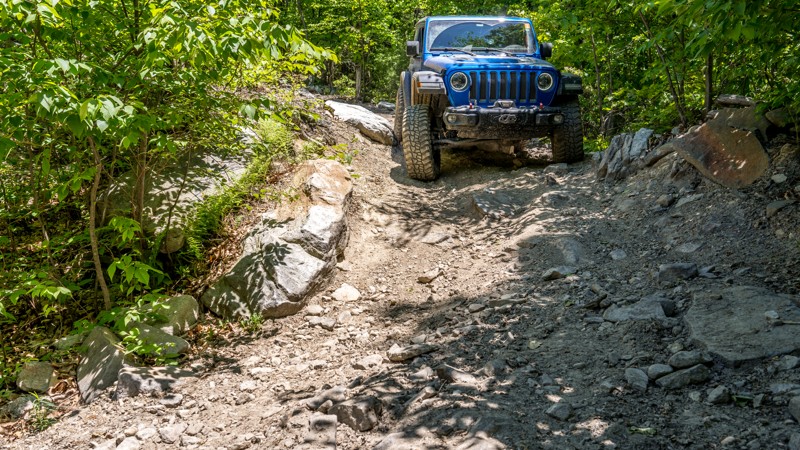 141 - Anthracite Outdoor Adventure Area Trail Review Photo
