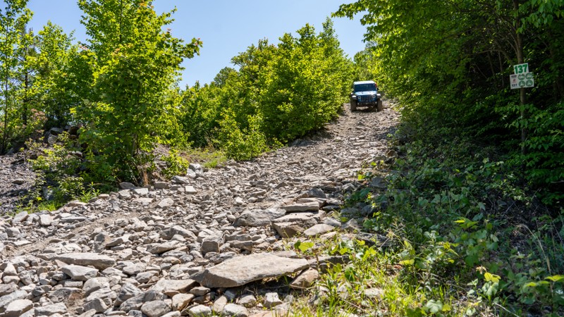 137 - Anthracite Outdoor Adventure Area Trail Review Photo