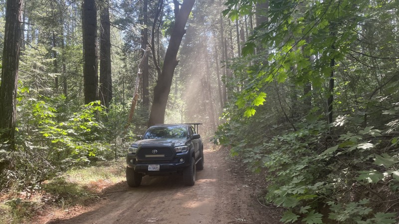 Old Yosemite Coulterville Rd Trail Review Photo