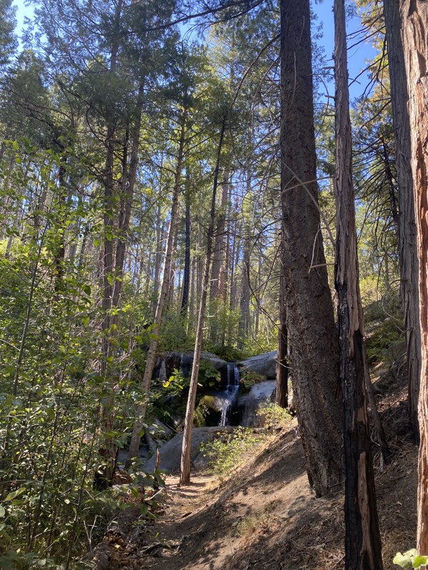 Old Yosemite Coulterville Rd Trail Review Photo