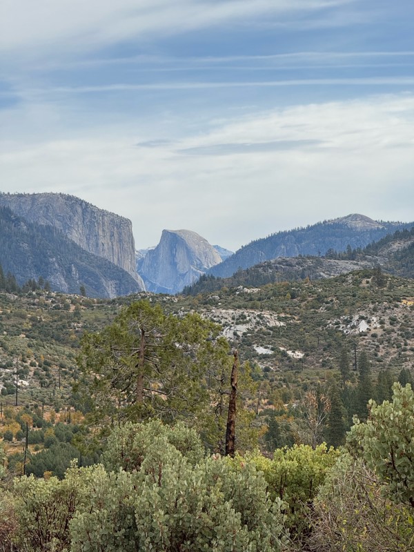 Old Yosemite Coulterville Rd Trail Review Photo