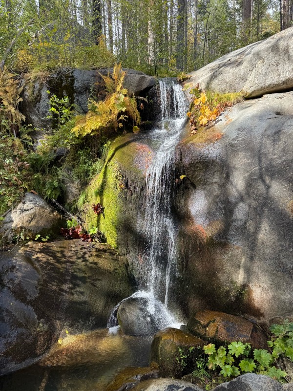 Old Yosemite Coulterville Rd Trail Review Photo