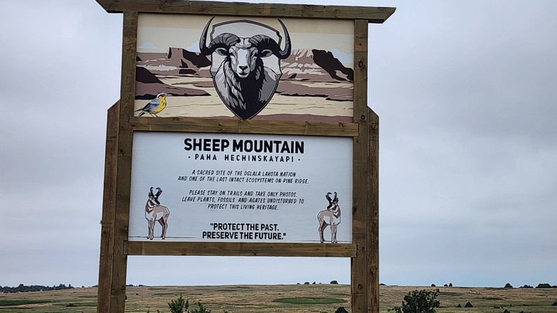 Sheep Mountain Road Trail Review Photo