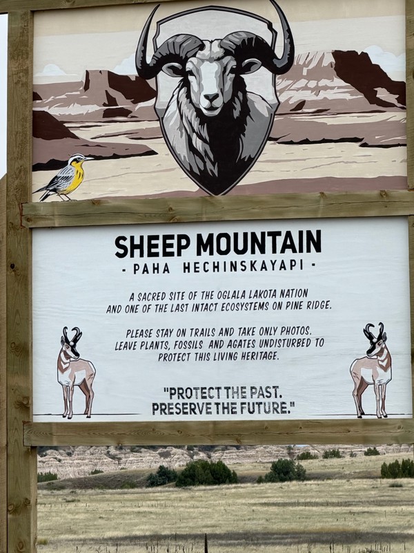 Sheep Mountain Road Trail Review Photo
