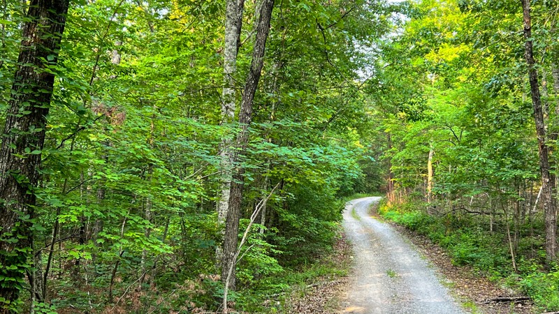 Blue Ridge Trail Review Photo