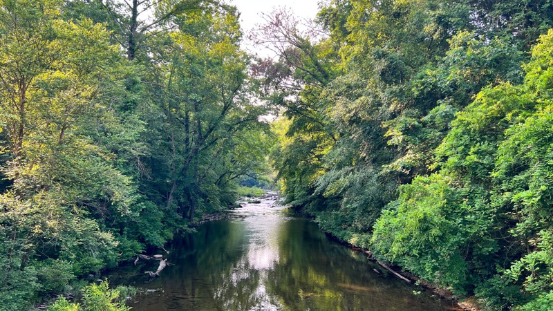 Cisco Alaculsy Trail Review Photo