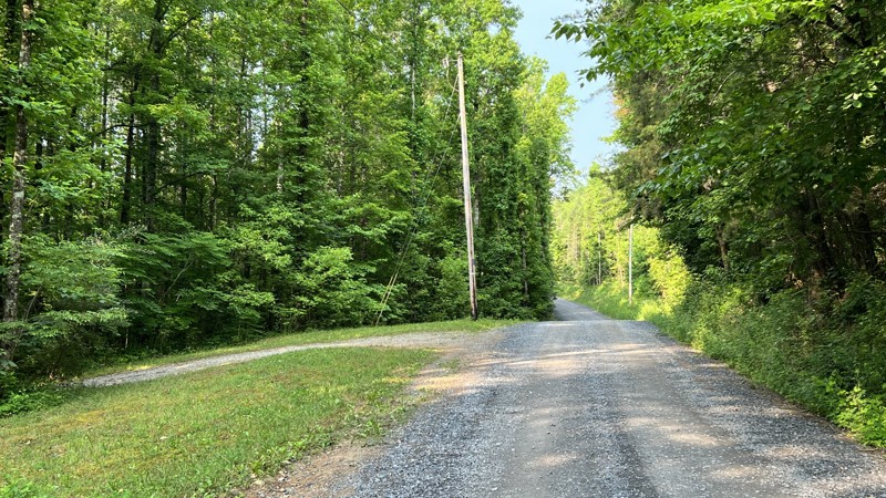 Old Highway 2 Trail Review Photo