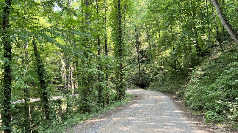Mill Creek Trail Review Photo