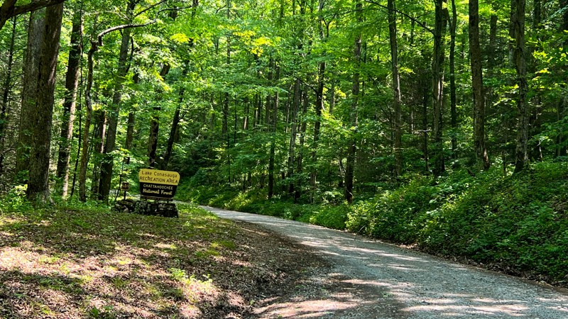 Potato Patch Trail Review Photo