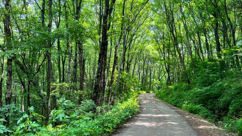 Three Forks Trail Review Photo