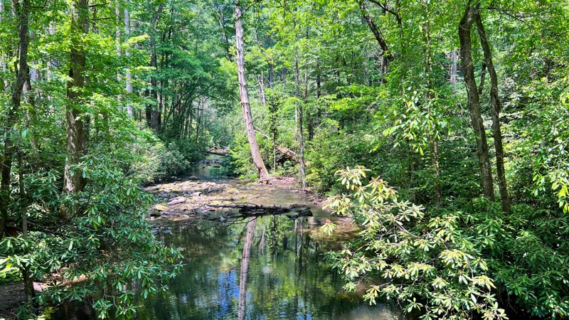 Georgia: Tumbling Creek Hero Photo