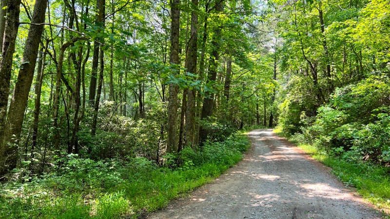 Tumbling Creek Trail Review Photo