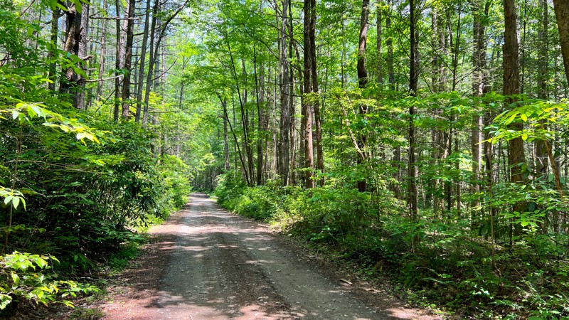 Tumbling Creek, Georgia | GPS Map, Photos & Reviews