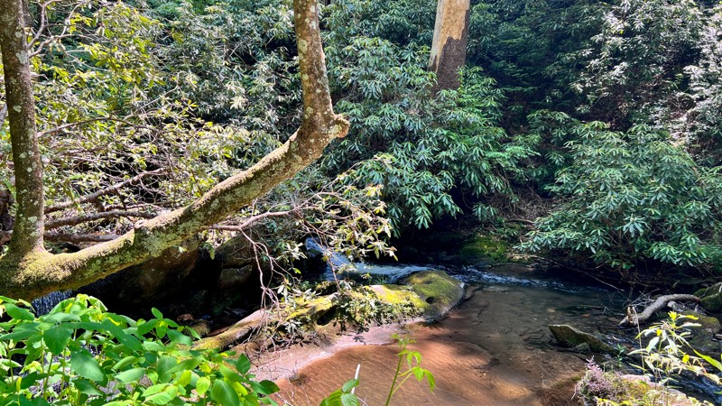 Tumbling Creek Trail Review Photo