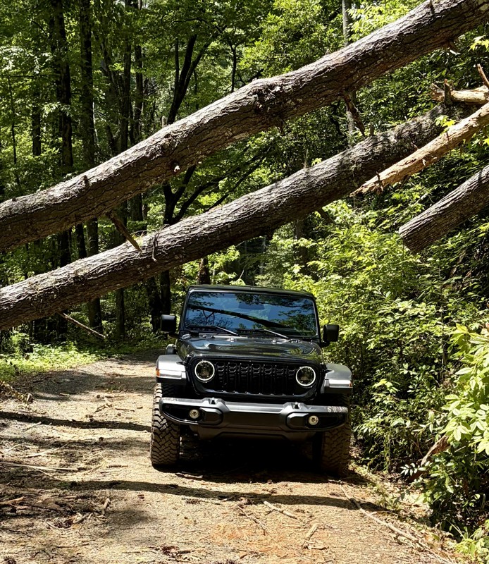 Tumbling Creek Trail Review Photo