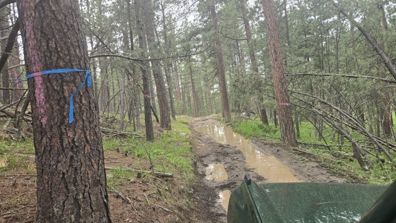 Dugan's Prospect Trail Review Photo