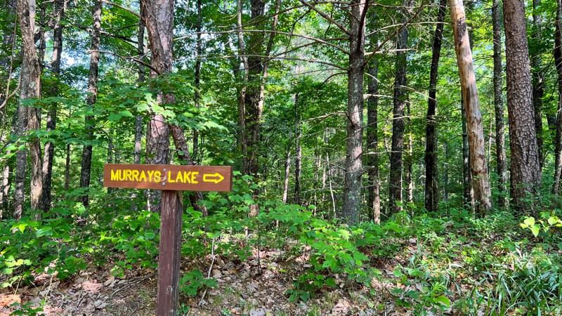 Murrays Lake Trail Review Photo