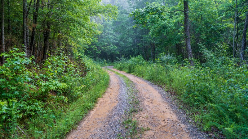 Tennessee: East Sylco Ridge Road Hero Photo