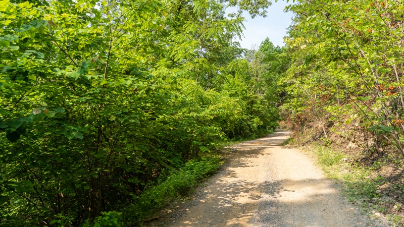 Baker Creek Road Trail Review Photo