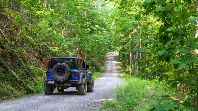 Sina Branch Trail Review Photo
