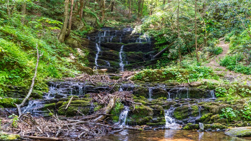 Tennessee: Peavine Sheed Creek Road Hero Photo